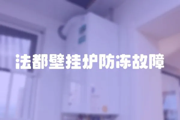 法都壁掛爐防凍故障