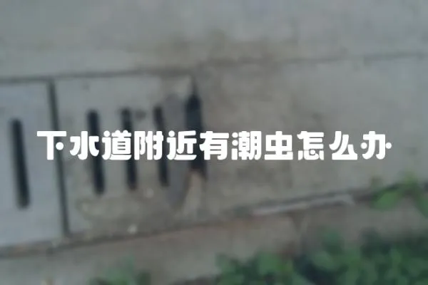 下水道附近有潮蟲怎么辦