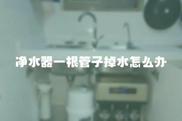 凈水器一根管子掉水怎么辦