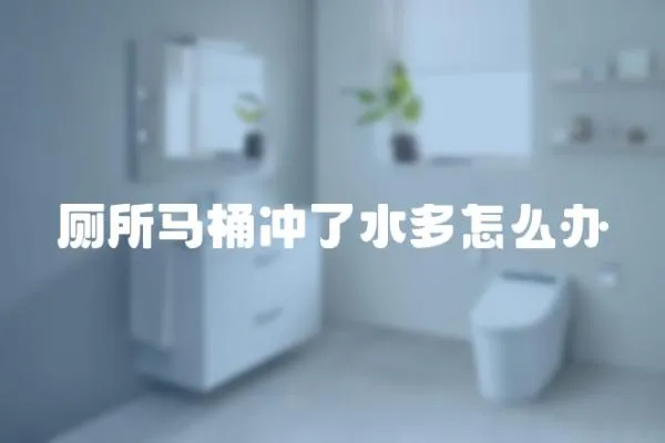 廁所馬桶沖了水多怎么辦