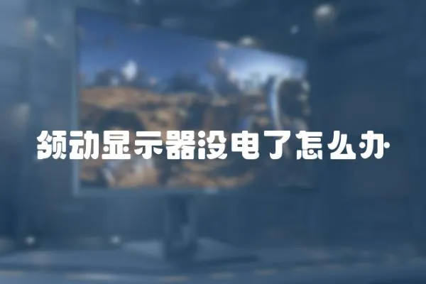 領動顯示器沒電了怎么辦