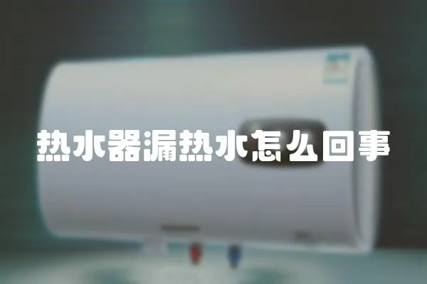 熱水器漏熱水怎么回事