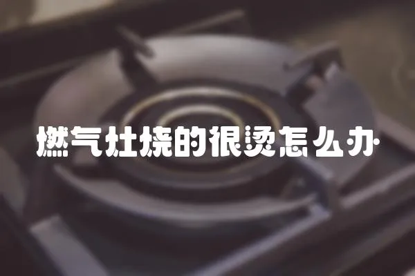 燃氣灶燒的很燙怎么辦