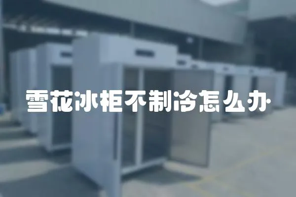 雪花冰柜不制冷怎么辦