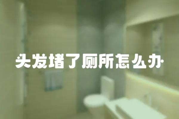 頭發(fā)堵了廁所怎么辦