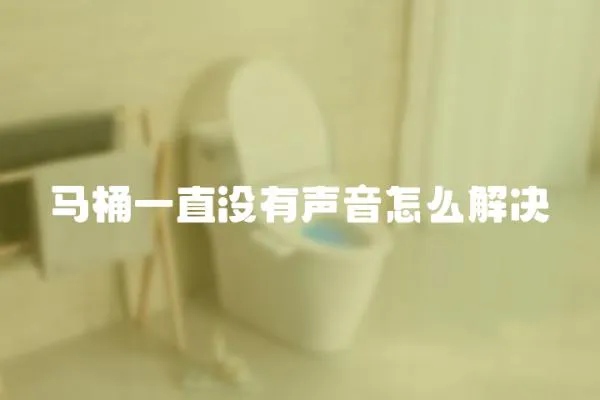 馬桶一直沒有聲音怎么解決