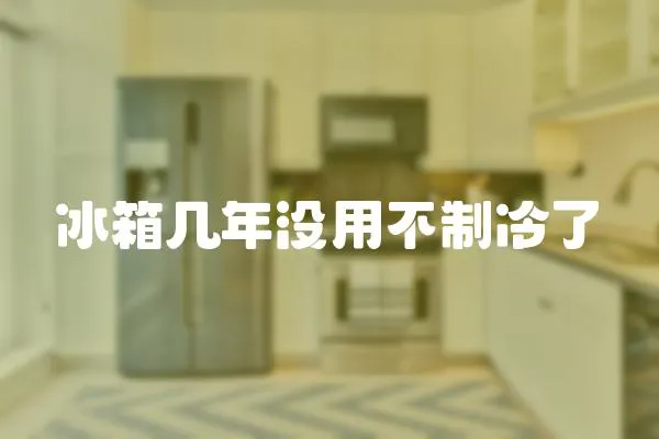 冰箱幾年沒用不制冷了