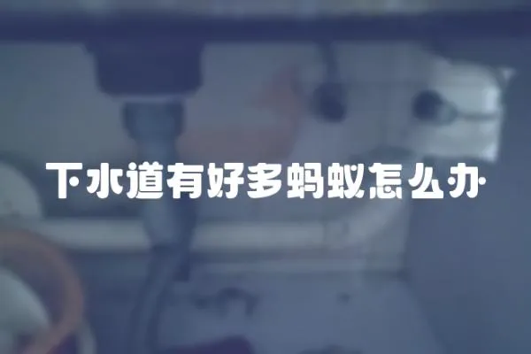 下水道有好多螞蟻怎么辦