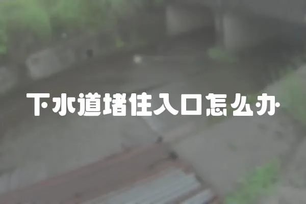 下水道堵住入口怎么辦