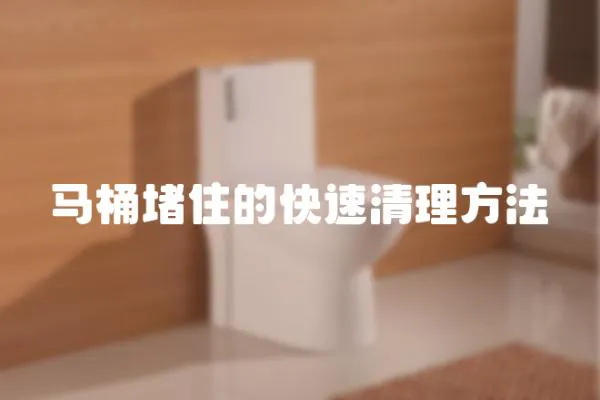 馬桶堵住的快速清理方法