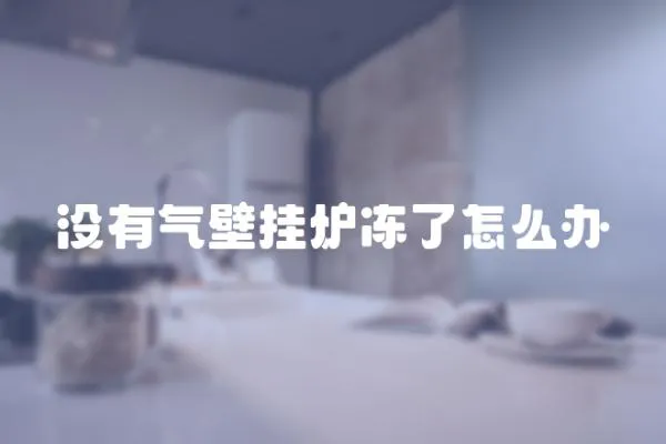 沒有氣壁掛爐凍了怎么辦