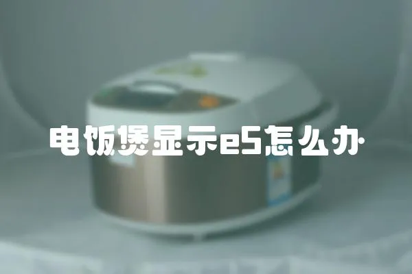 電飯煲顯示e5怎么辦