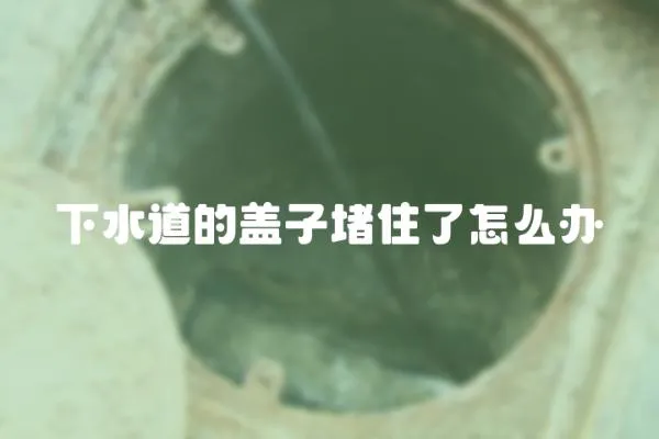 下水道的蓋子堵住了怎么辦
