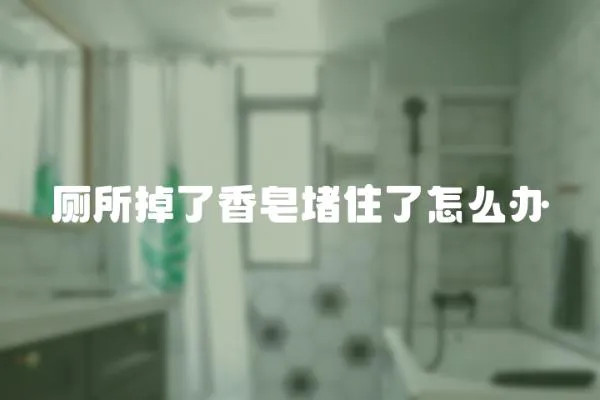 廁所掉了香皂堵住了怎么辦
