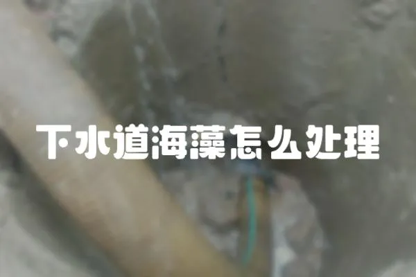 下水道海藻怎么處理