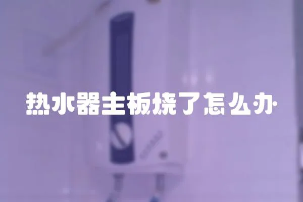 熱水器主板燒了怎么辦
