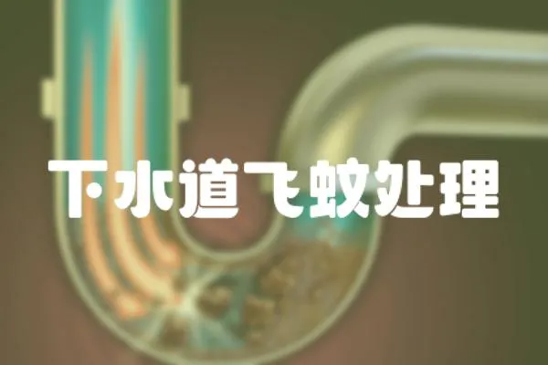 下水道飛蚊處理