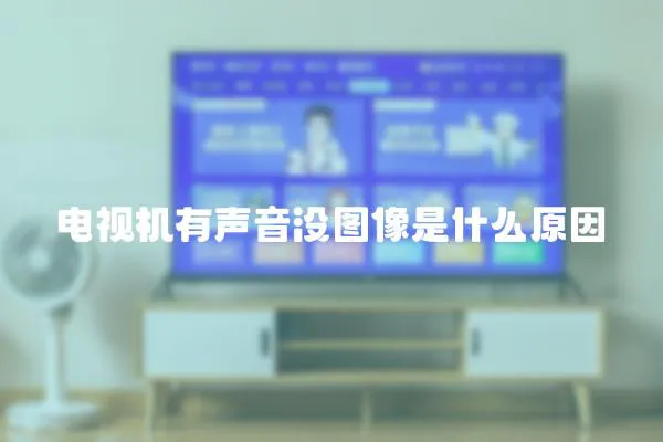 電視機(jī)有聲音沒圖像是什么原因