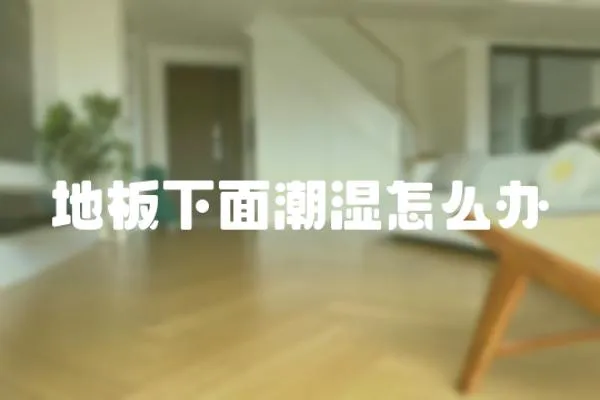 地板下面潮濕怎么辦
