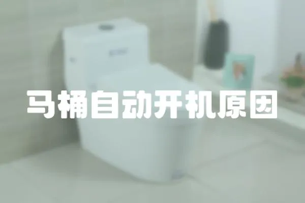 馬桶自動開機原因