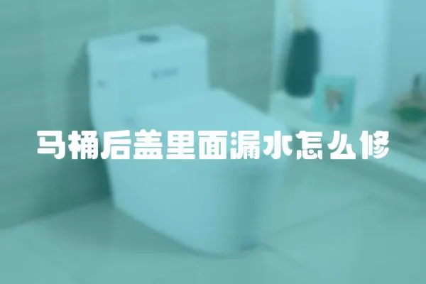 馬桶后蓋里面漏水怎么修
