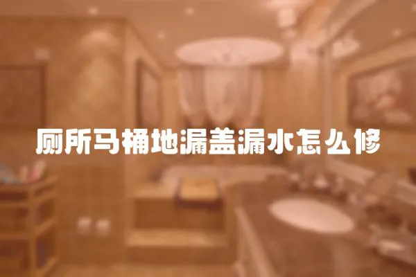 廁所馬桶地漏蓋漏水怎么修