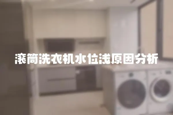 滾筒洗衣機水位淺原因分析