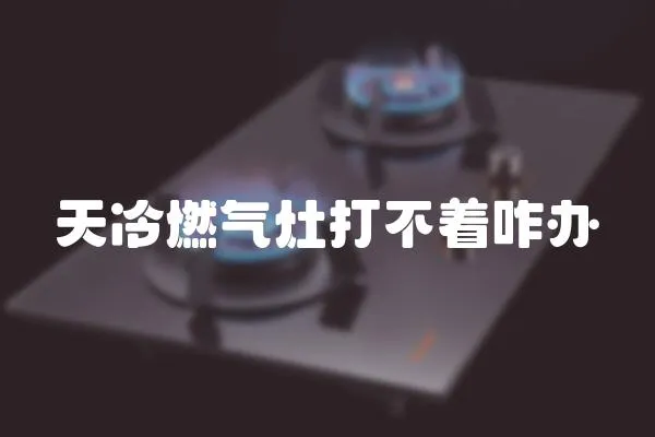 天冷燃?xì)庠畲虿恢k