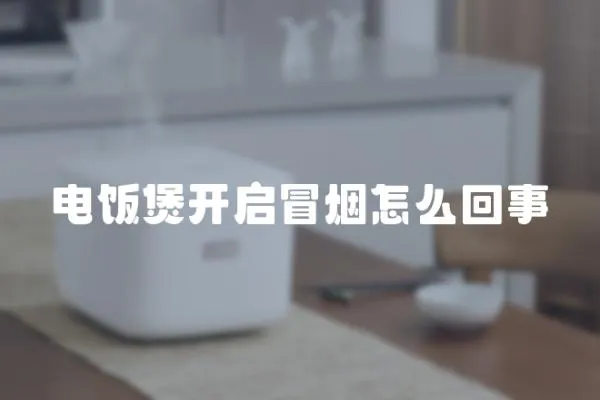 電飯煲開啟冒煙怎么回事