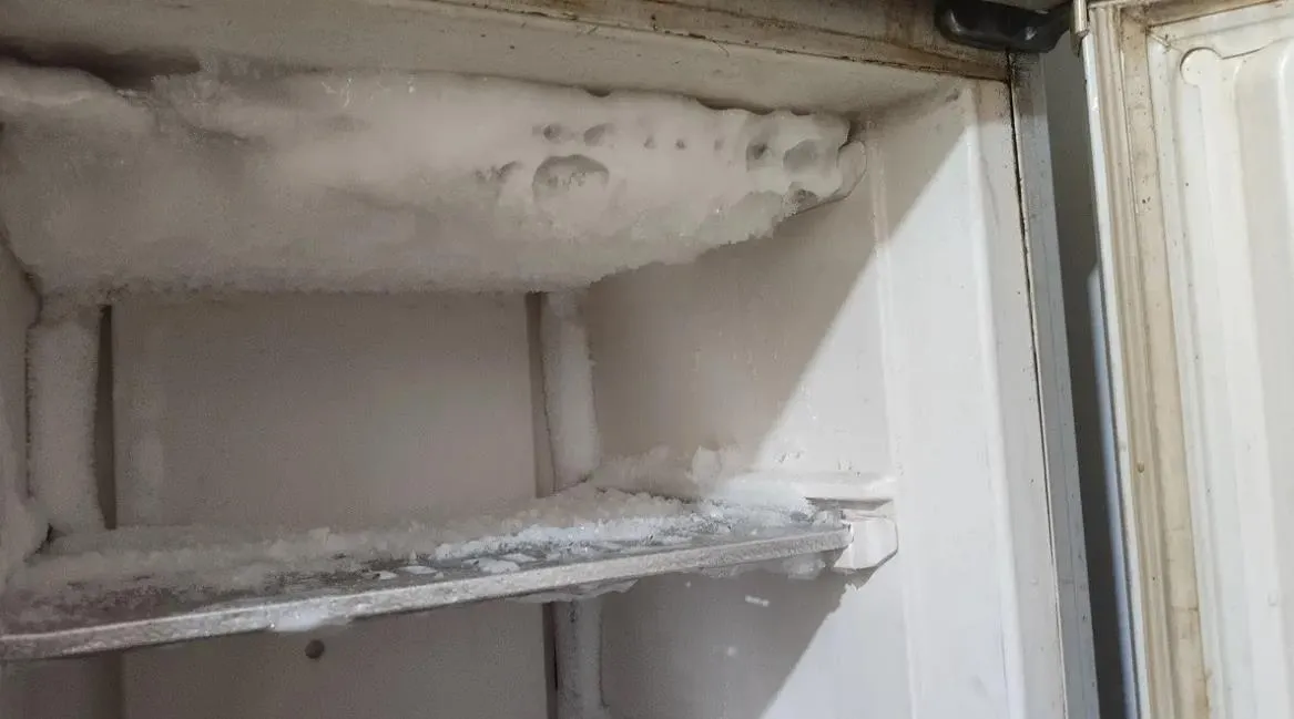 風冷無霜冰箱會結冰嗎