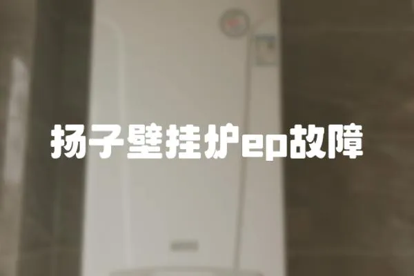 揚子壁掛爐ep故障