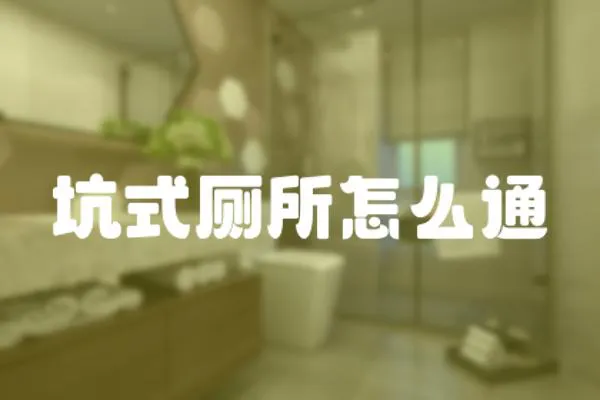 坑式廁所怎么通