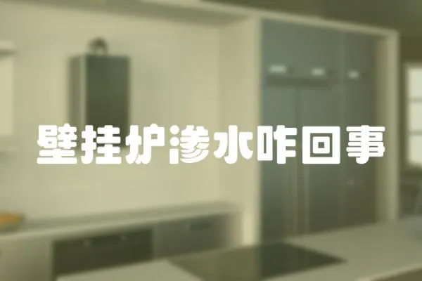 壁掛爐滲水咋回事