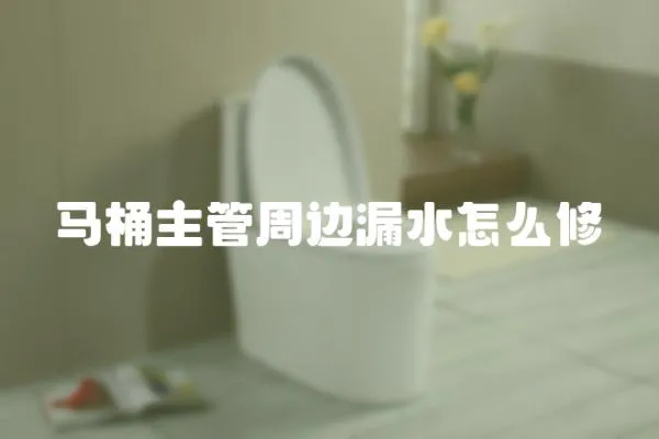 馬桶主管周邊漏水怎么修