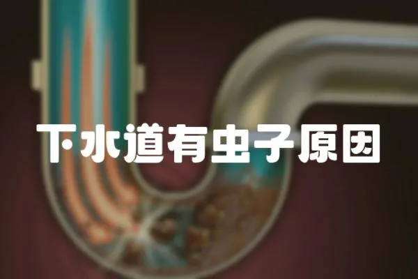 下水道有蟲子原因