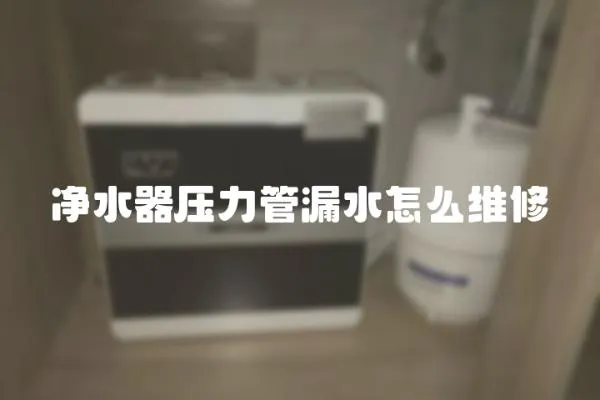 凈水器壓力管漏水怎么維修