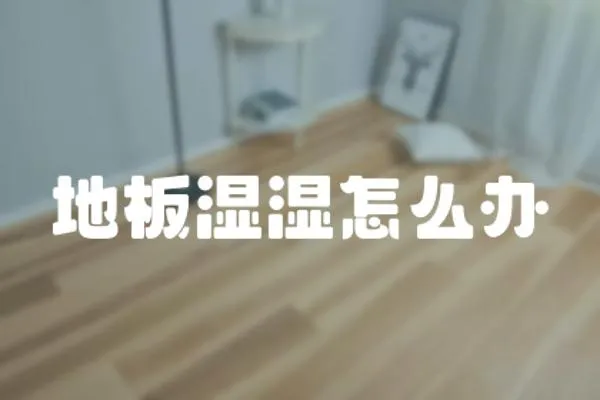地板濕濕怎么辦