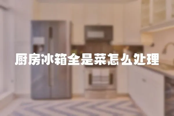 廚房冰箱全是菜怎么處理