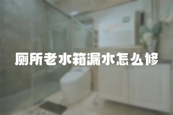 廁所老水箱漏水怎么修