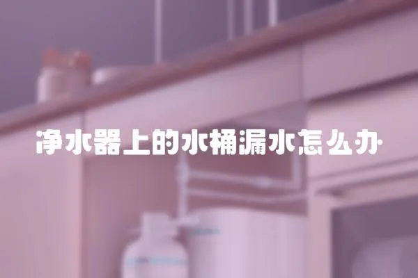 凈水器上的水桶漏水怎么辦