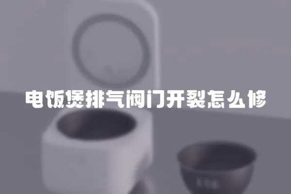 電飯煲排氣閥門開裂怎么修