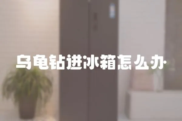 烏龜鉆進冰箱怎么辦