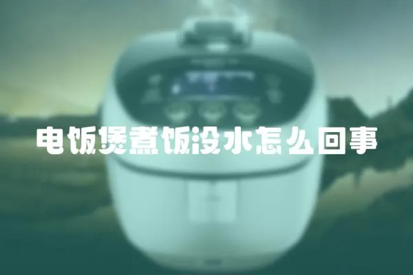電飯煲煮飯沒水怎么回事