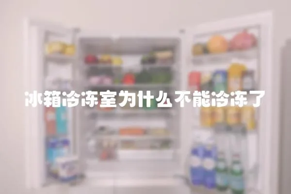 冰箱冷凍室為什么不能冷凍了