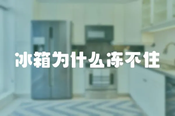 冰箱為什么凍不住