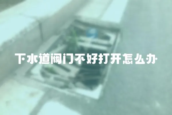 下水道閥門不好打開怎么辦