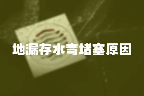 地漏存水彎堵塞原因