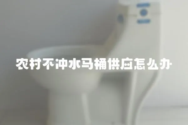 農村不沖水馬桶供應怎么辦
