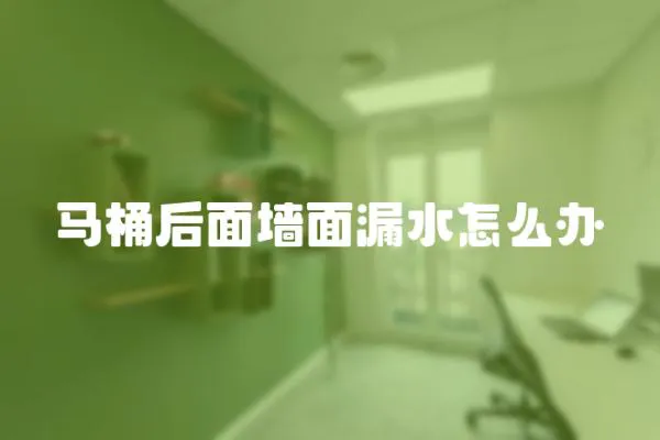 馬桶后面墻面漏水怎么辦