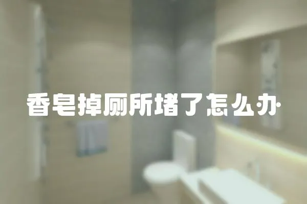 香皂掉廁所堵了怎么辦